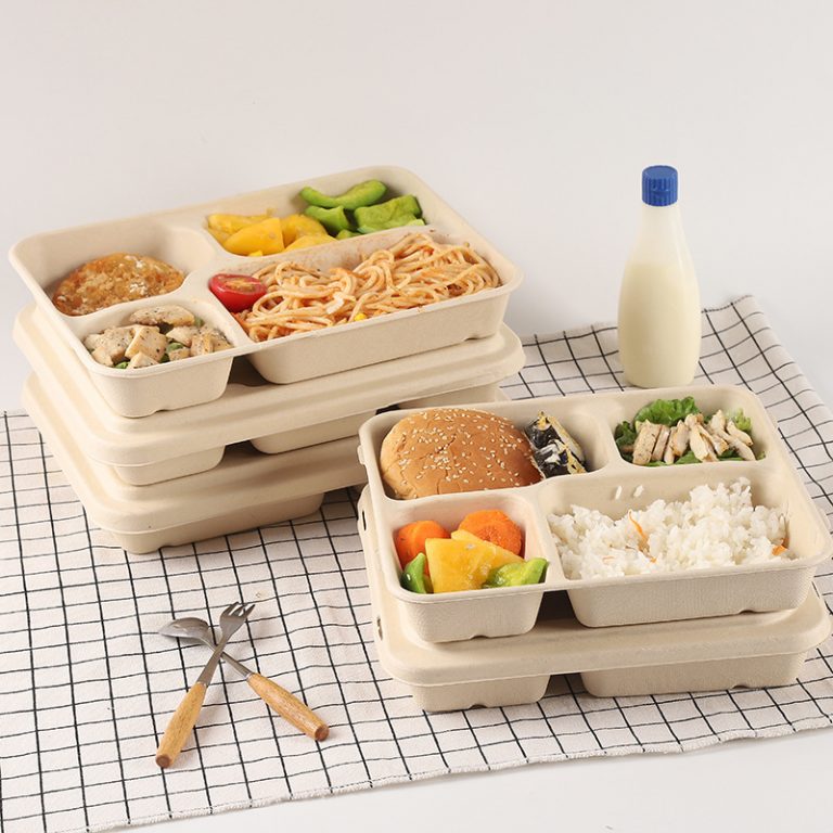 Takeaway packed multigrid paper lunch plates