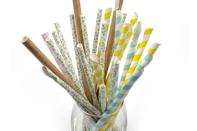 Paper straw wholesale (2)