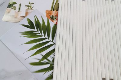 Paper straws (1)_副本