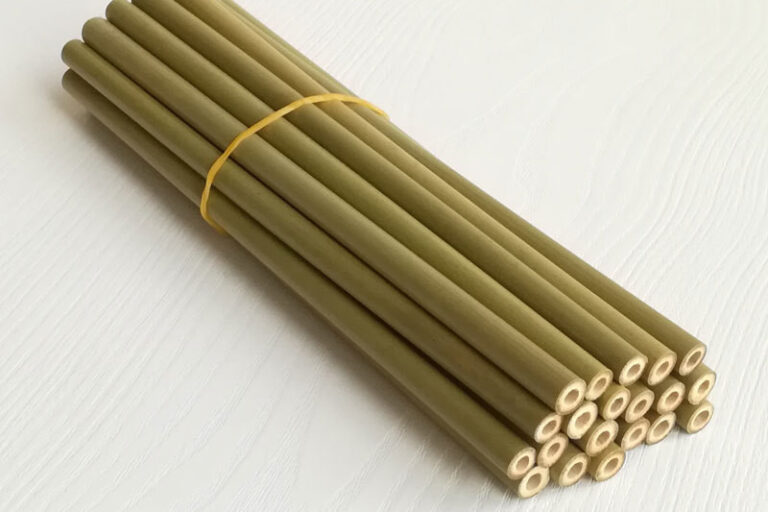 bamboo (1)