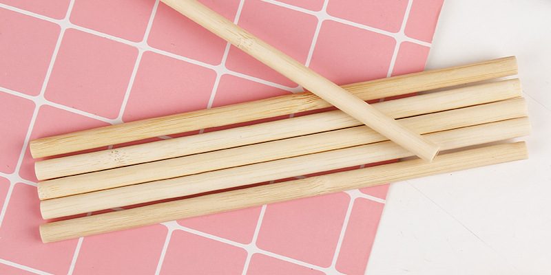 bamboo straw (2)