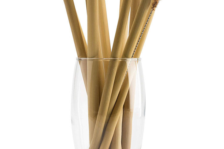 bambooo (1)