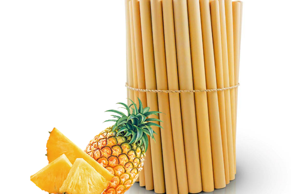 bamboostraw (1)