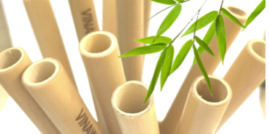 bamboostraw (3)