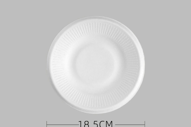 paper plate (6)