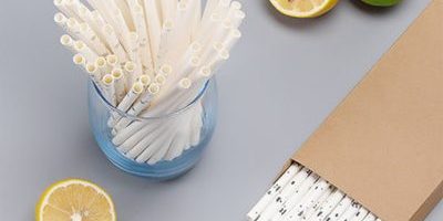 paper straw (1)