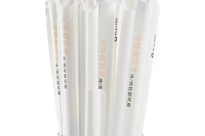 paper straw (2)_400