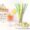 biodegradable PLA drinking straws