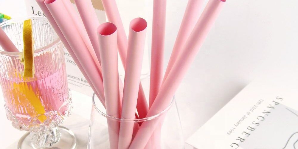 biodegradable PLA drinking straws