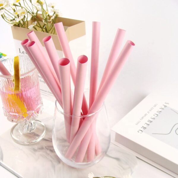 biodegradable PLA drinking straws