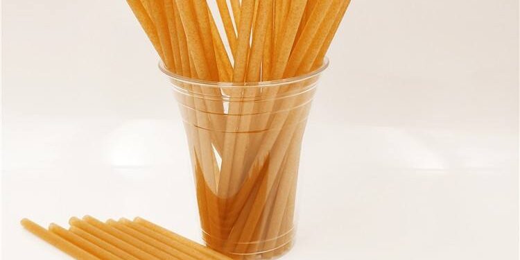 PLA sugarcane bagasse drinking straws