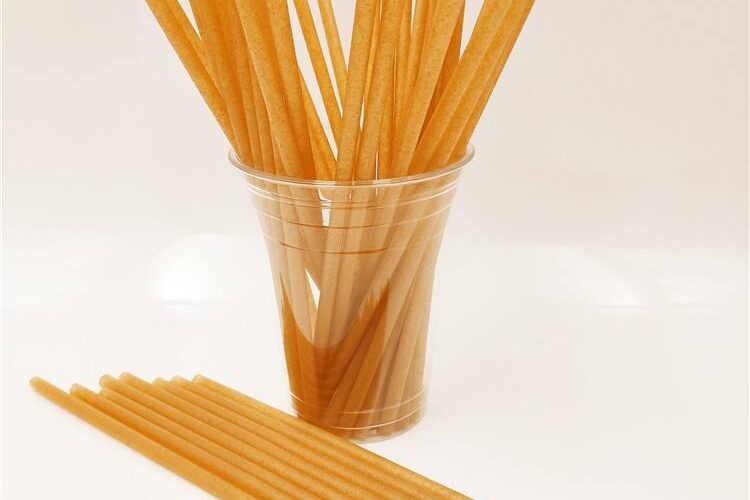 Disposable Biodegradable Sugarcane PLA Compostable Bagasse Straws (1) PLA sugarcane bagasse drinking straws
