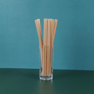 PLA straws with printed logo