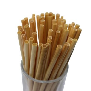 PLA disposable drinking straws