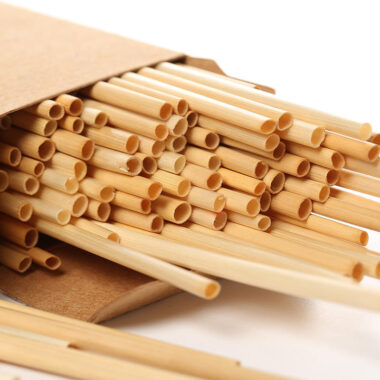 PLA disposable drinking straws