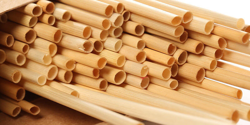 PLA disposable drinking straws