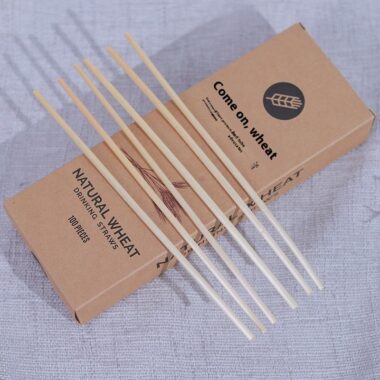 PLA disposable drinking straws