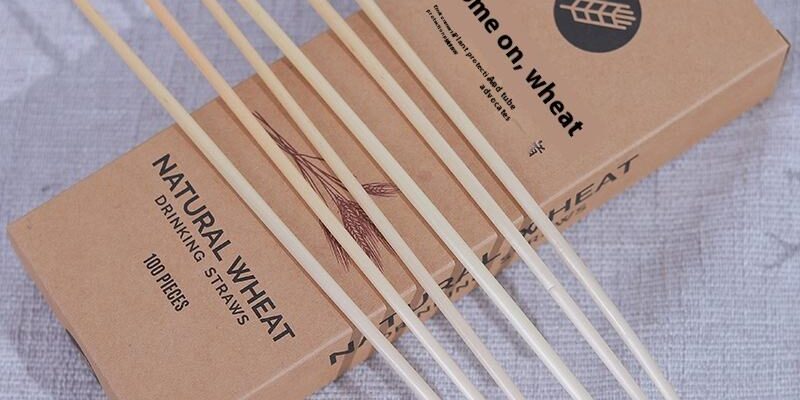 Natural Biodegradable 6mm Wheat PLA Straws for Water, Coffee & Juice (6) PLA disposable drinking straws