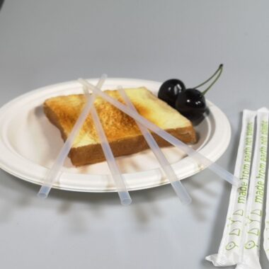 plastic drinking straws eco-friendly