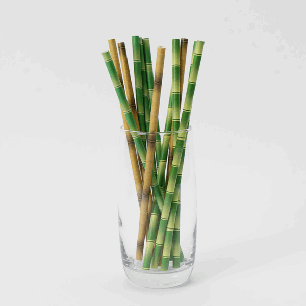paper straws striped for drinks