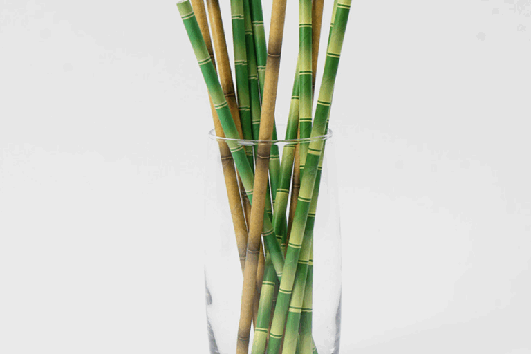 paper straws striped for drinks
