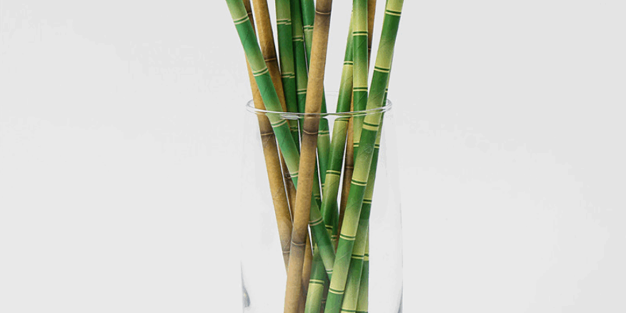 paper straws striped for drinks