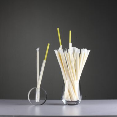 Wholesale black PLA drinking straws