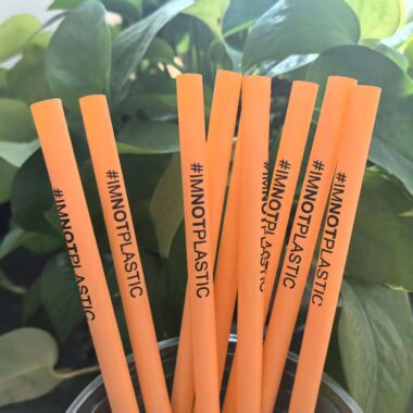Custom Orange Biodegradable PLA Straw Supplier with Standard Logo