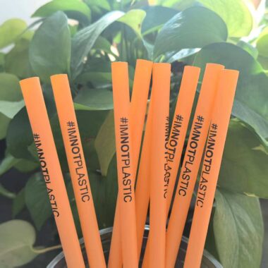 Orange biodegradable PLA straw