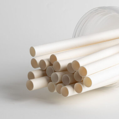 biodegradable paper straws